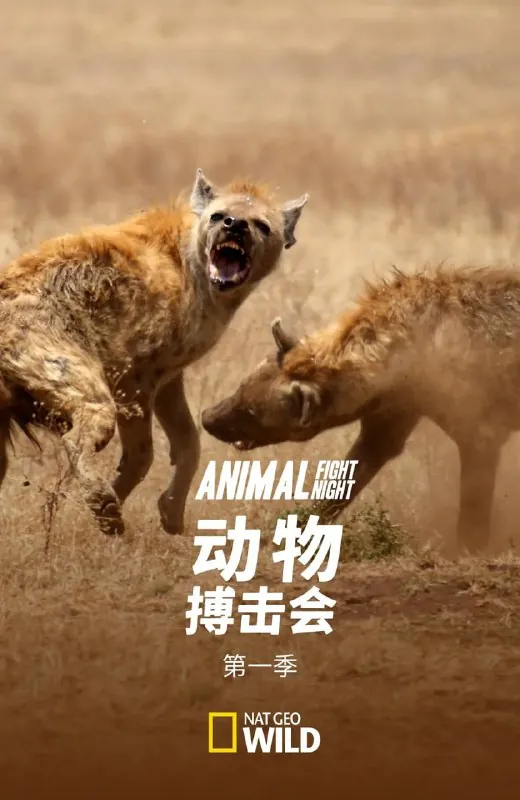 动物搏击会第一季AnimalFightNightSeason1（2013）