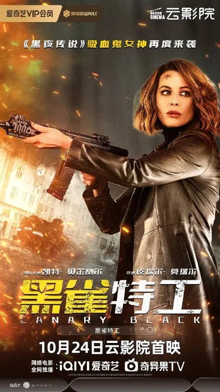 黑雀特工（2024）4KEDR中字外挂字幕