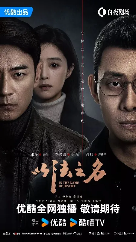 以法之名（2025）4K高码更新至17集