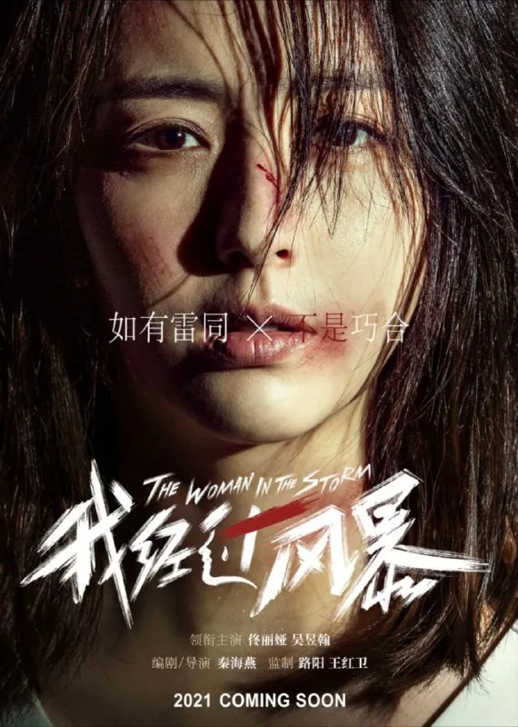 我经过风暴（2023）4K高码