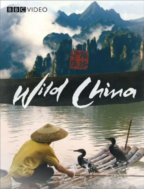 美丽中国（2008）4K国语中字