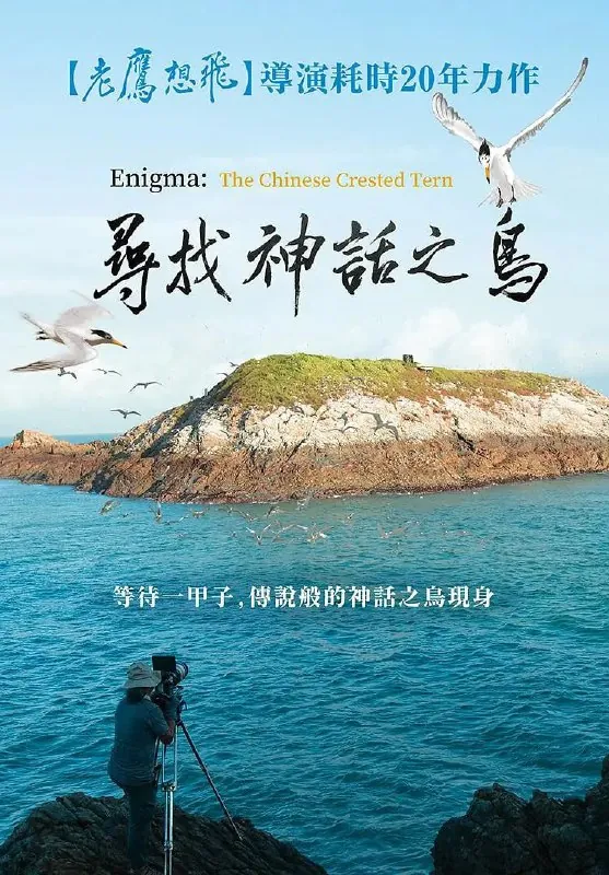 寻找神话之鸟尋找神话之鸟（2021）
