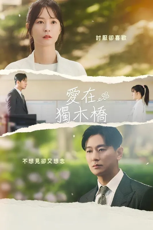 爱在独木桥[内封简繁字幕][全12集]