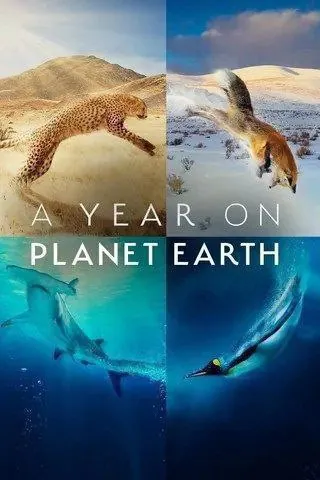 地球上的一年（2022）4K杜比视界全集中字硬字幕