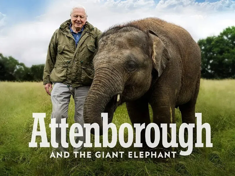 爱登堡和巨象AttenboroughAndTheGiantElephant（2017）