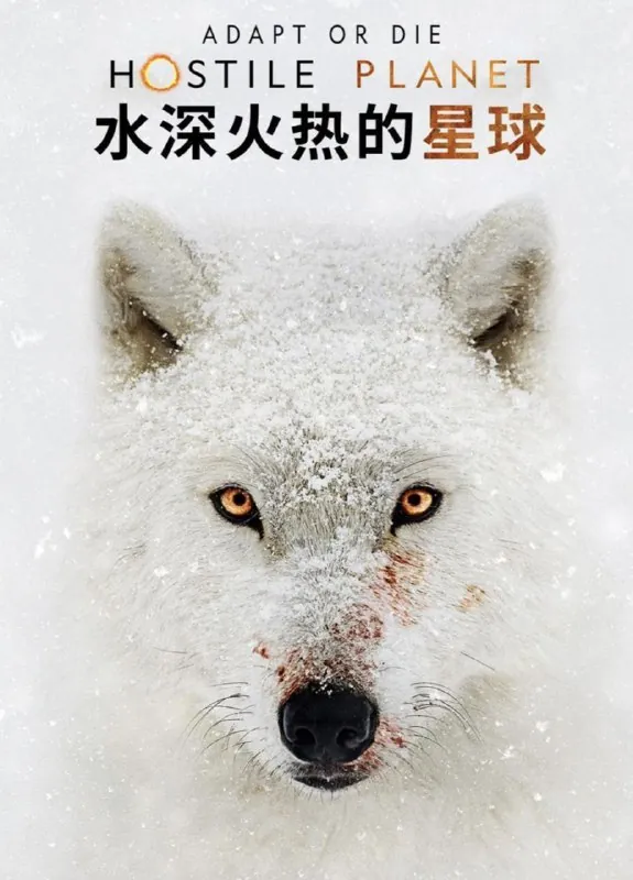 水深火热的星球（2019）1080P全集外挂中英
