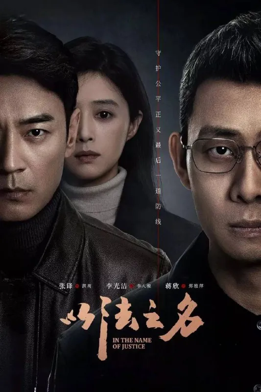以法之名（2025）[WEB-4K][国语中字][更至8集]