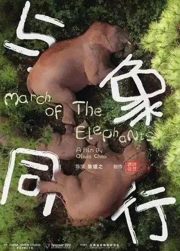 与象同行（2022）4K国语