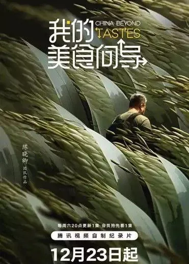 我的美食向导（2023）4K全集