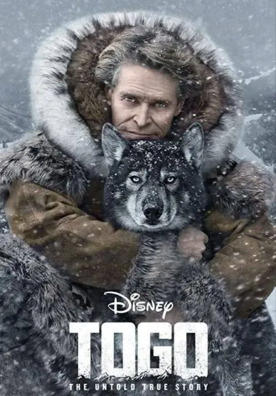 多哥（2019）4KHDR中字外挂字幕