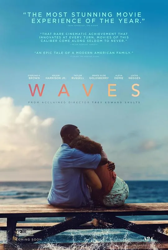 浪潮Waves（2019）1080p原盘Remux中文字幕