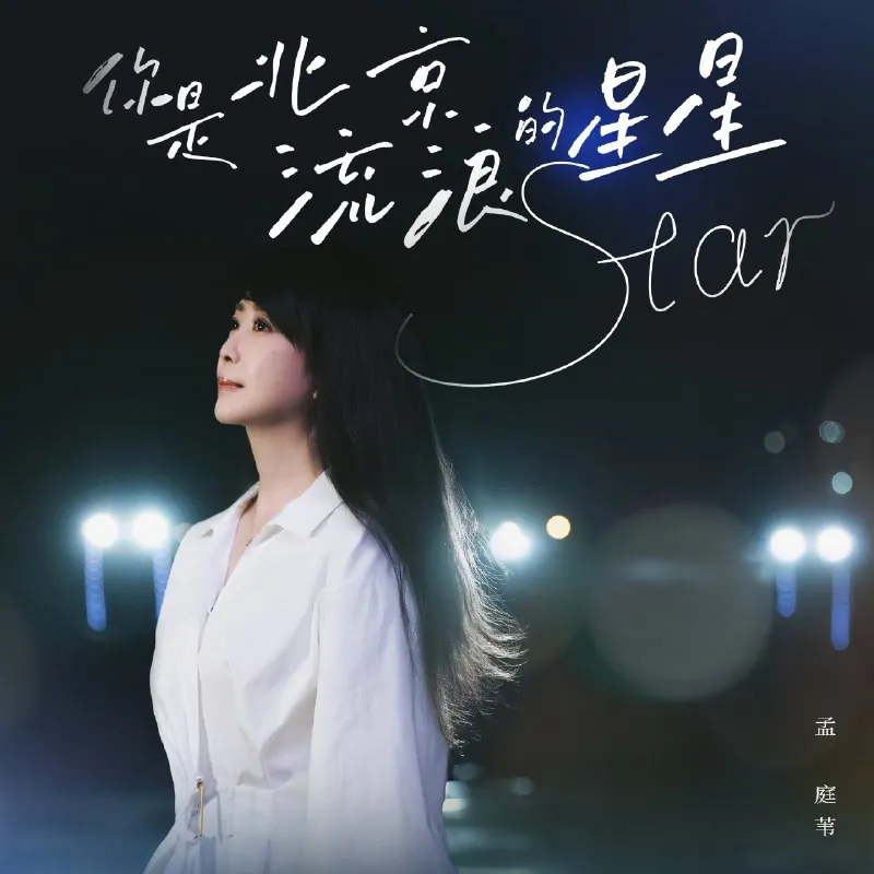 孟庭苇-你是北京流浪的星星-Single（2025）ALAC