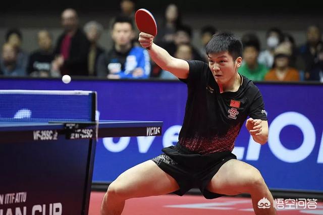 樊振东张本智和乒乓球比赛