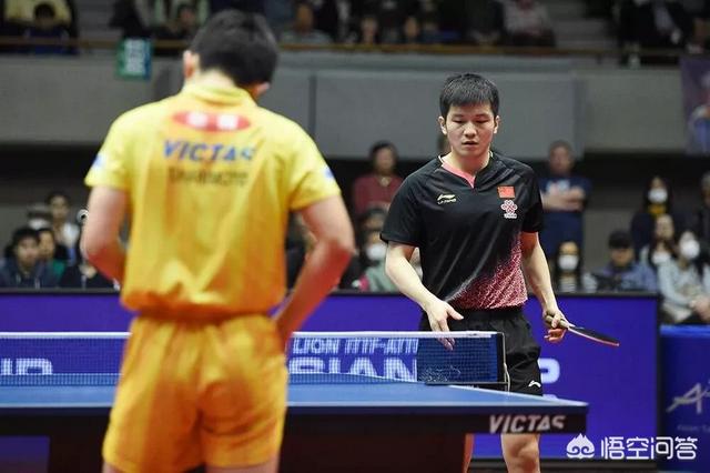 樊振东张本智和乒乓球比赛